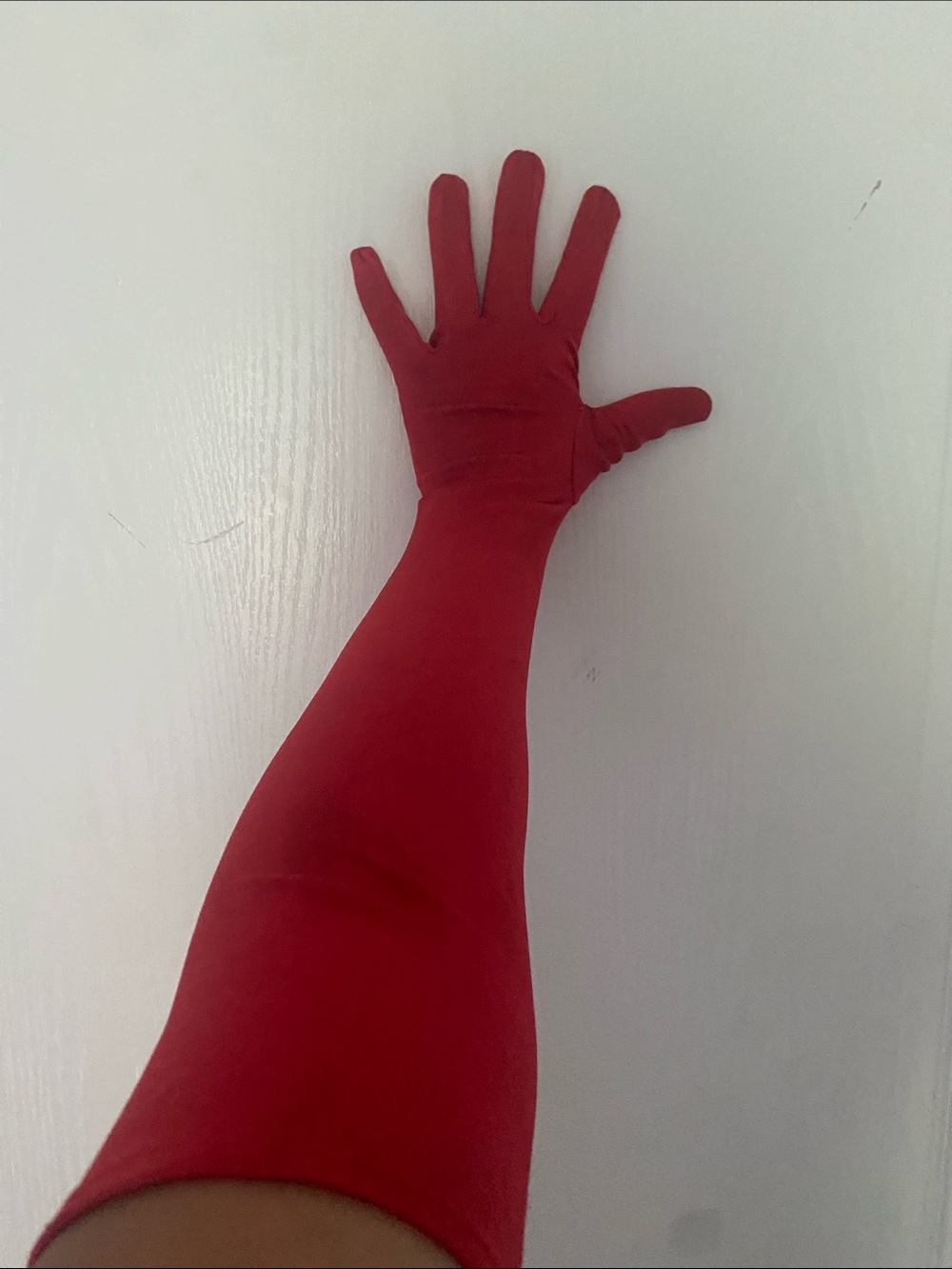 Amazon Red Long Satin Gloves